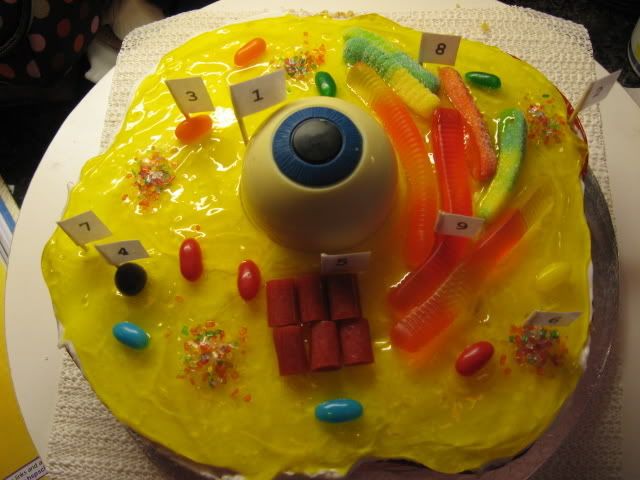 simple animal cell structure. animal cell structure and