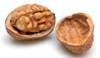 Walnuts Pictures, Images and Photos