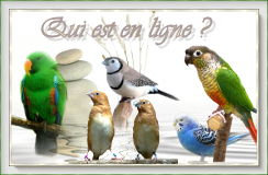 Qui est en ligne ?