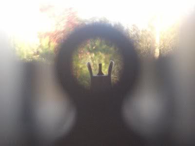 ar15-sightpicture.jpg