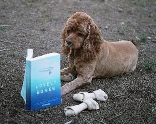 Lovely Bones Pictures, Images and Photos