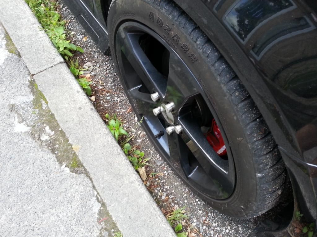 20140806_1703001_zps48749511.jpg