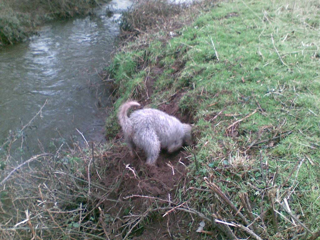 280120091.jpg
