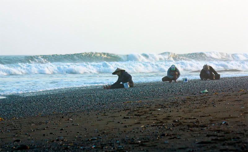 IMAGE: http://i266.photobucket.com/albums/ii267/AngiNelson/IMG_7101s2.jpg