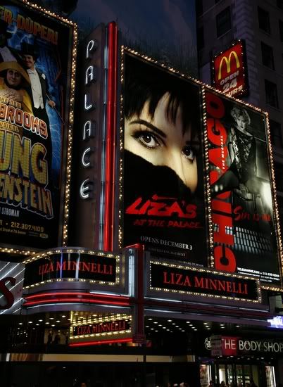 Photo Coverage: 'LIZA'S AT THE PALACE...!' Marquee Unveiled
