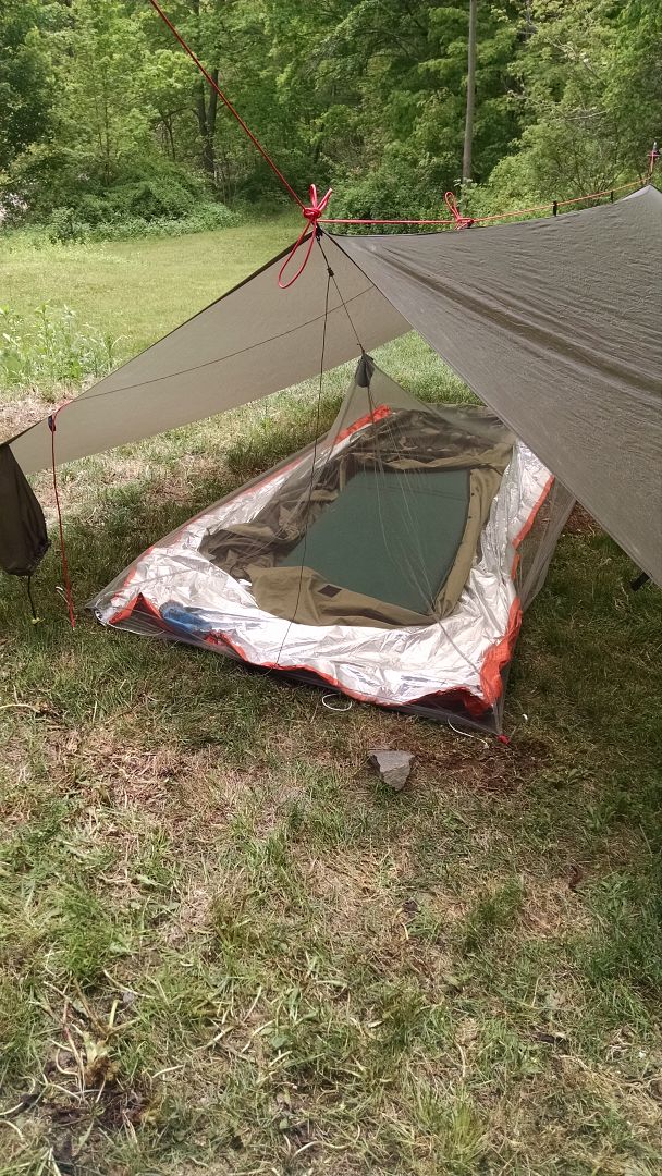 Tarp, tent or bivy? Bushcraft USA Forums