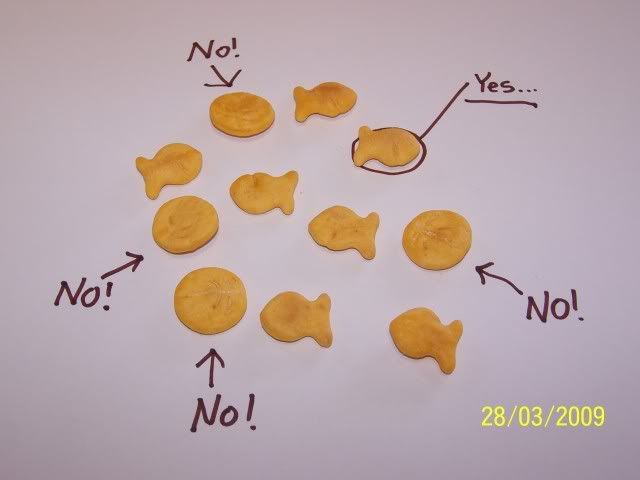 Funny Animal Pictures With Quotes