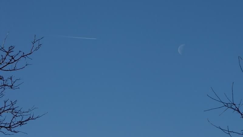 IMAGE: http://i266.photobucket.com/albums/ii271/cheapscot/tickettoride.jpg