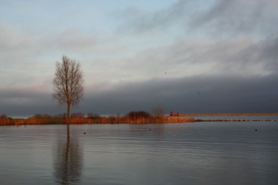 Fotografie