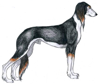 Kuva