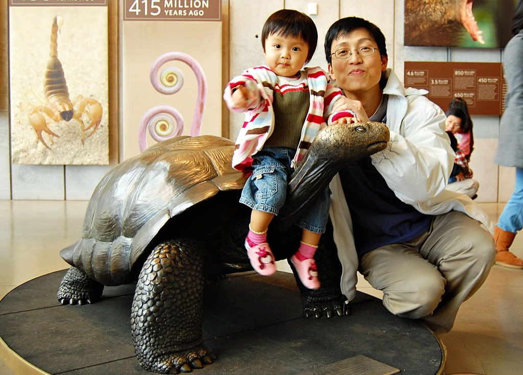 With Giant Turtle