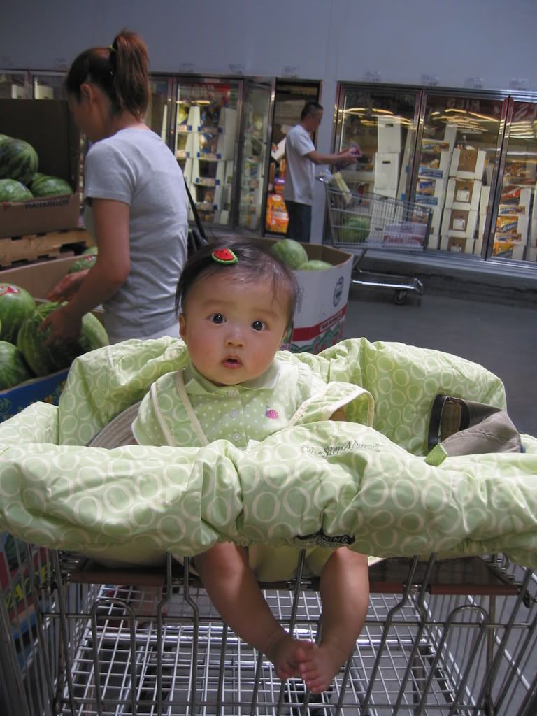 Shopping Cart (6/8/2008)