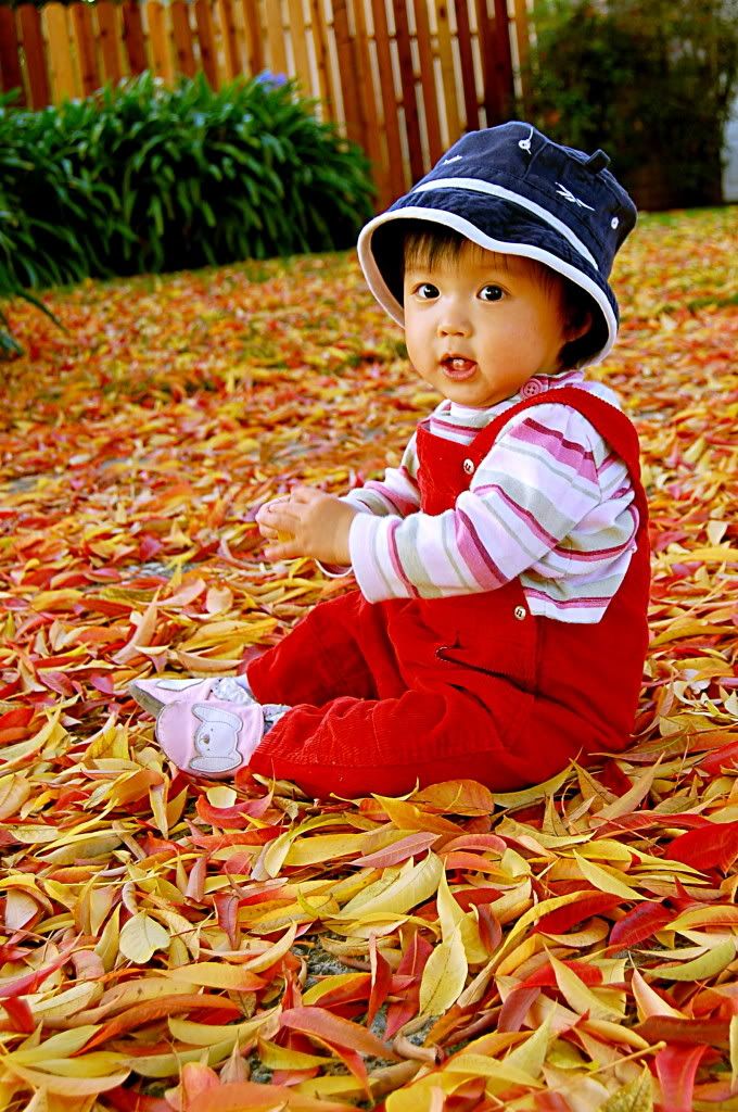 Playing with leaves