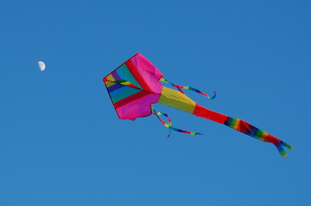 Our kite