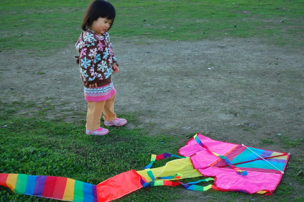 Kite flying