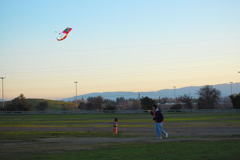 Kite flying