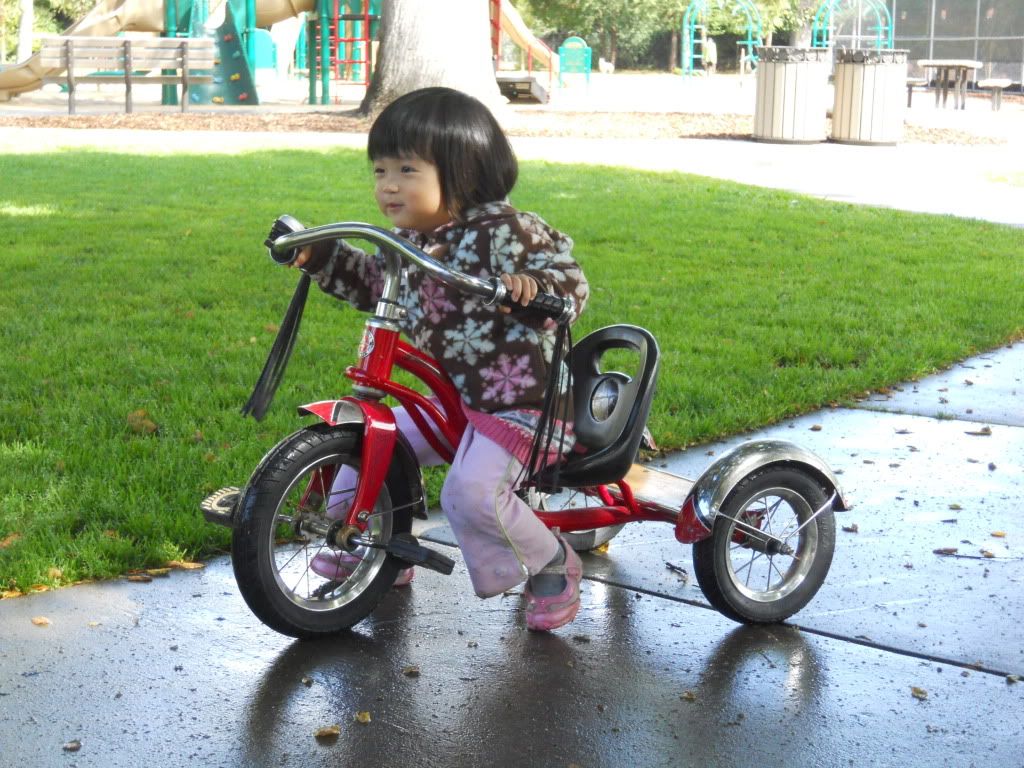 Walking a tricycle