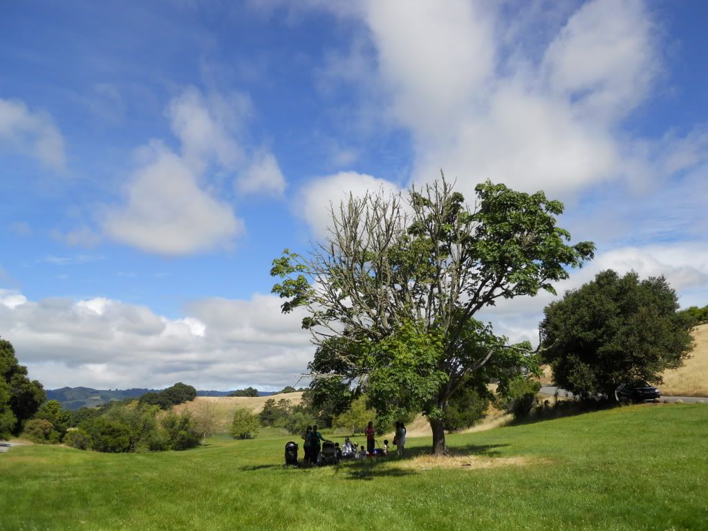 Foothills Park