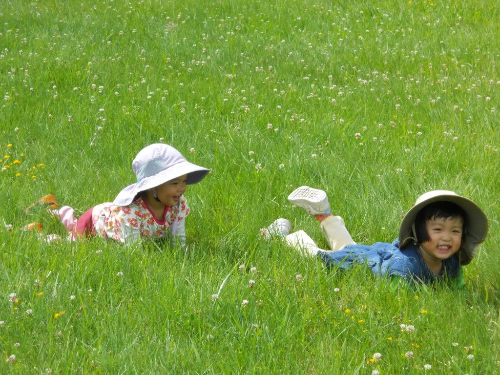 Foothills Park