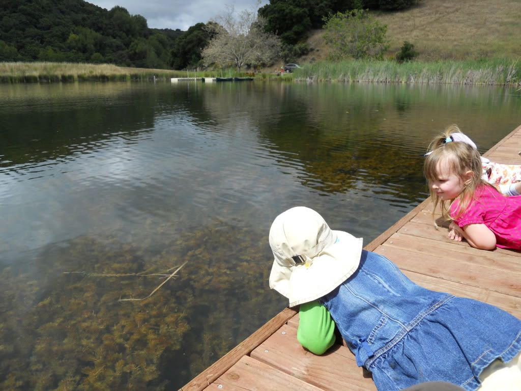 Foothills Park