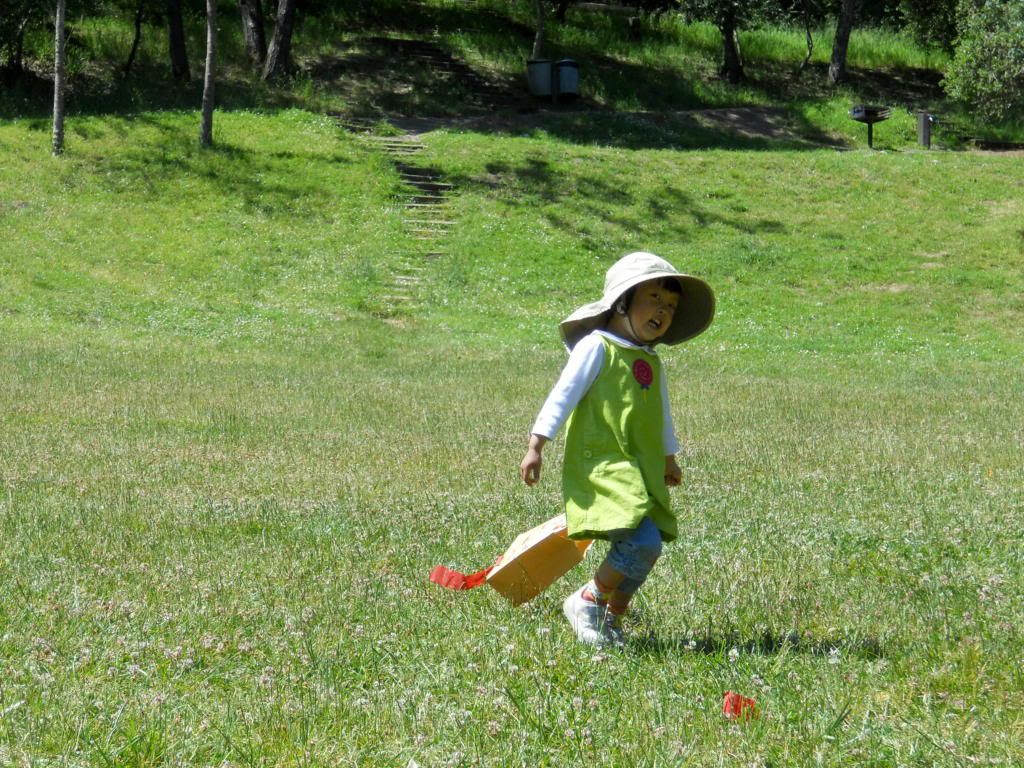 Edgewood County Park