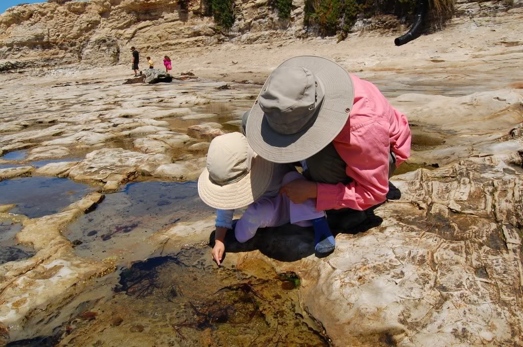 Natural Bridges SB