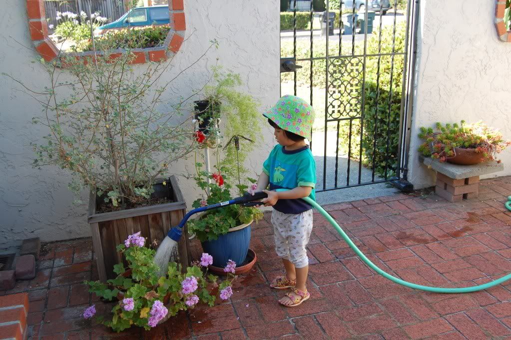 gardening