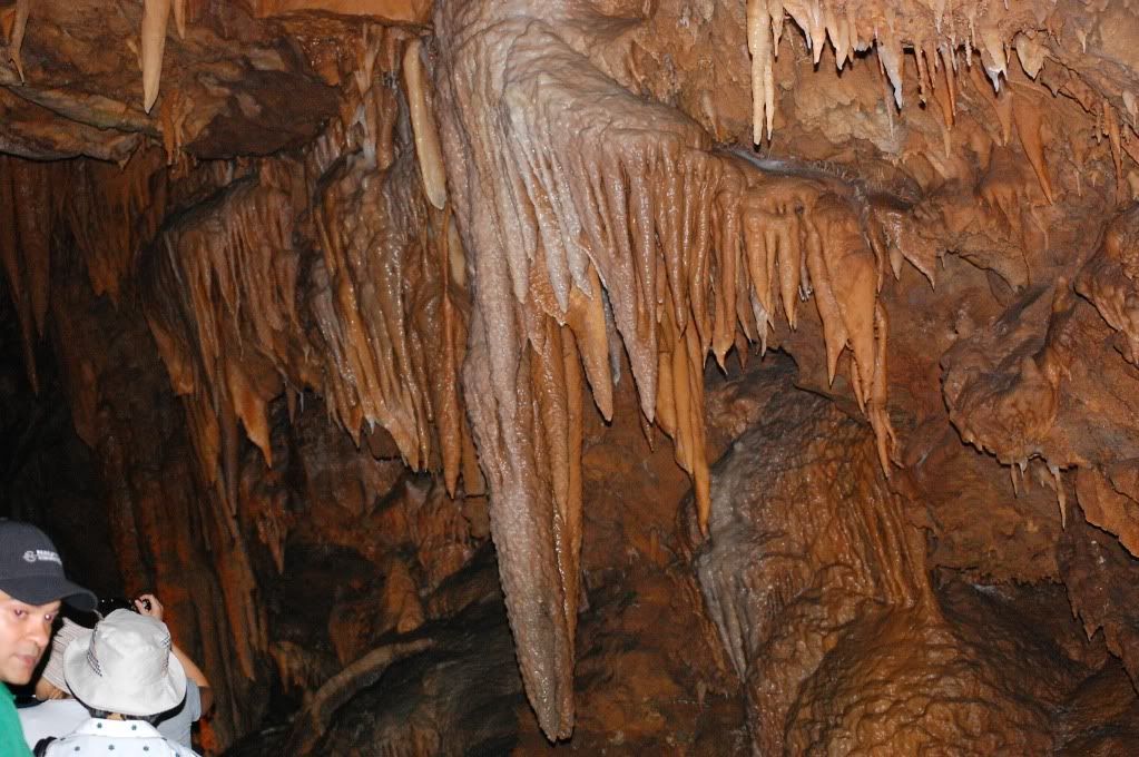 shasta cavern