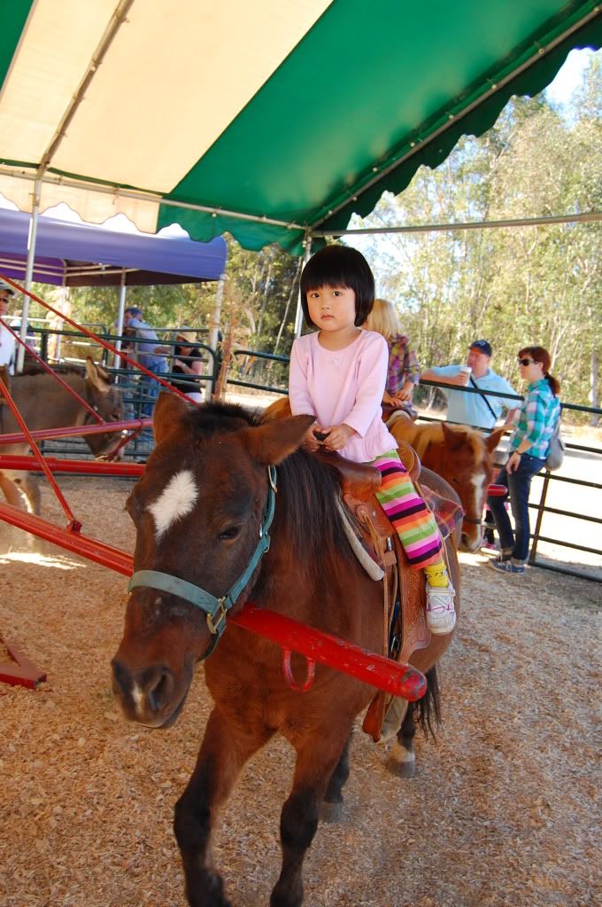 pony ride @ Webb Ranch