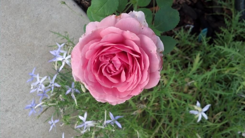  photo 2014-06-08084252.jpg