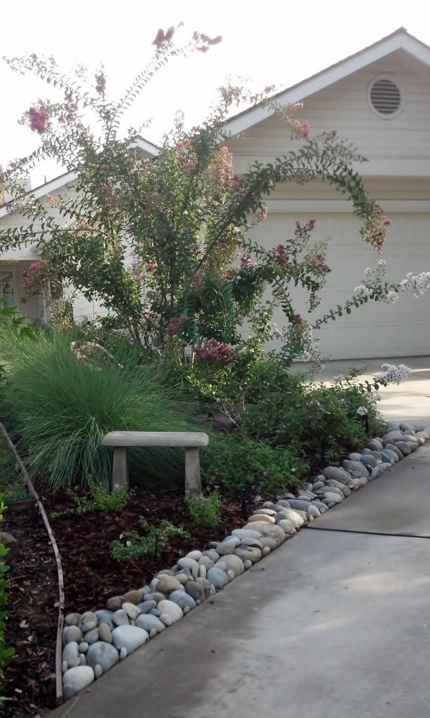  photo 2014-07-27083114.jpg