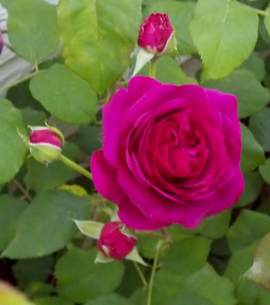  photo IMG_20140412_070924_666.jpg