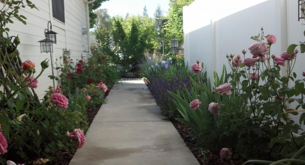  photo IMG_20140413_091348_810.jpg