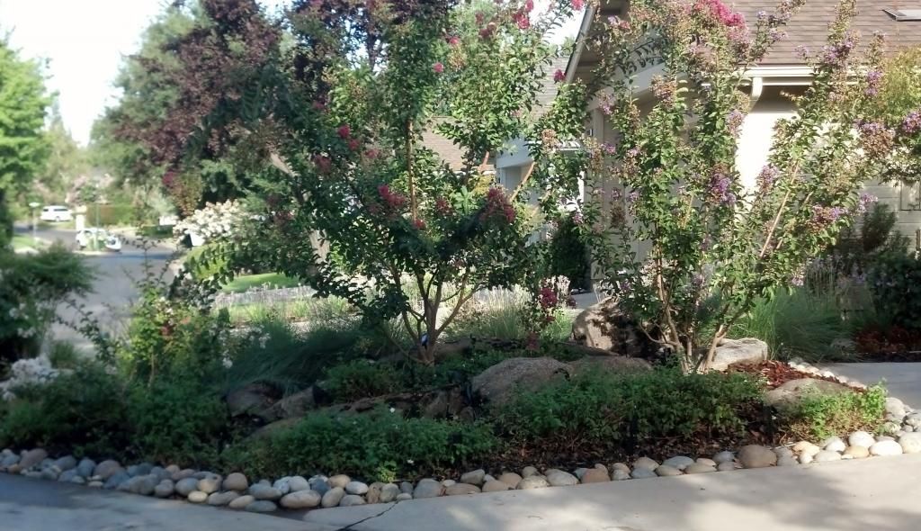  photo b720bc3e-ecbd-4f90-82c2-281dd211f954.jpg