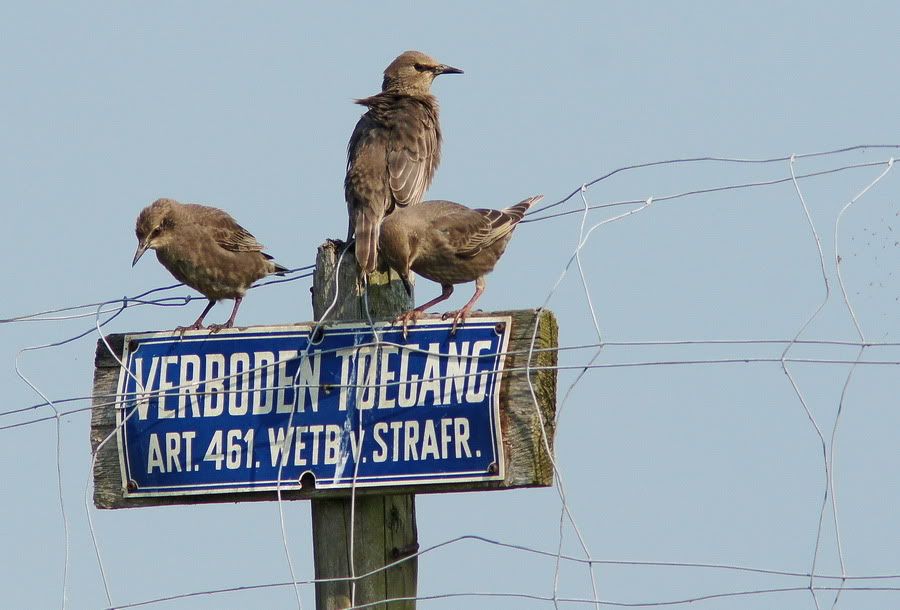 Fotografie
