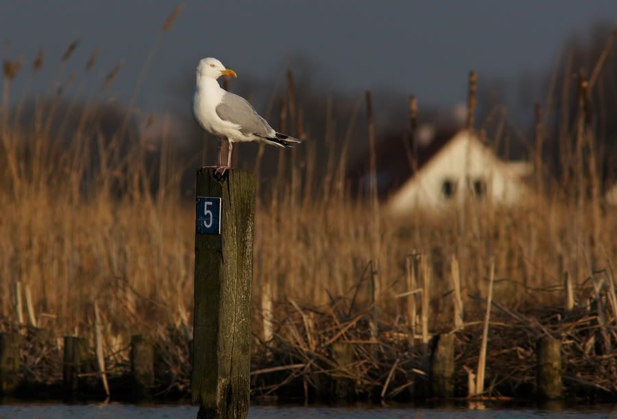 Fotografie