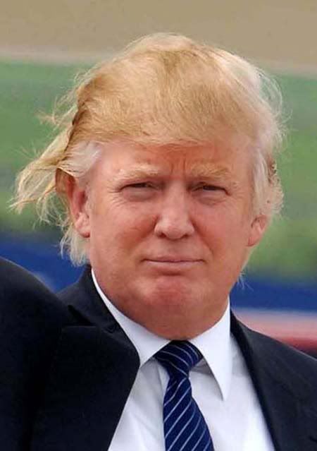 donald trump hair piece. donald trump bad hair day.