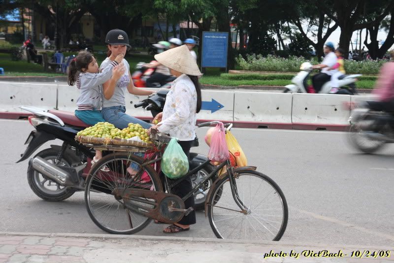 IMG_1156.jpg picture by nvquangcm