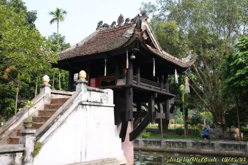 IMG_1356.jpg picture by nvquangcm