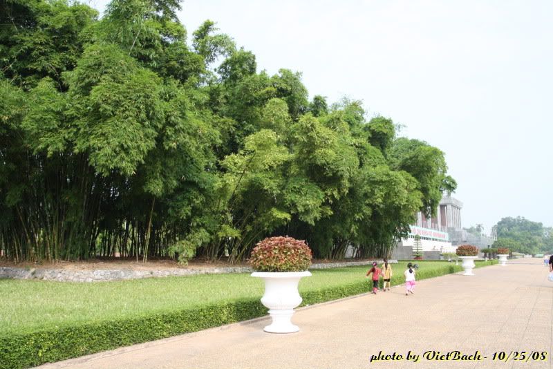 IMG_1391.jpg picture by nvquangcm
