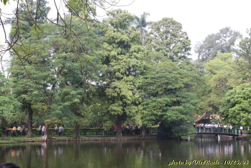 IMG_1408.jpg picture by nvquangcm