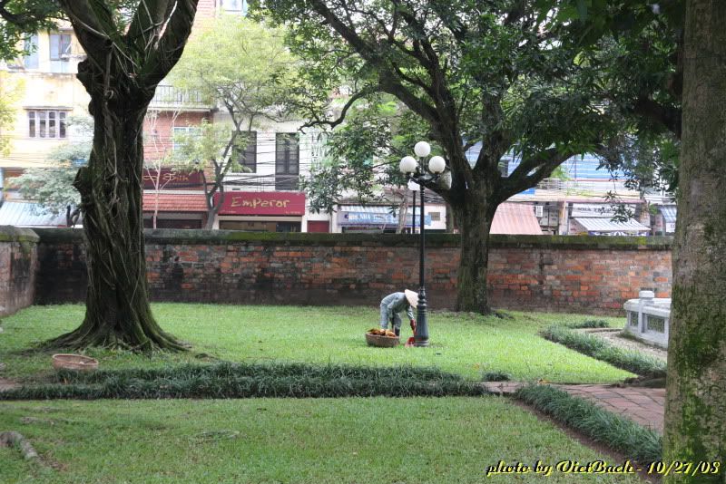 IMG_1758.jpg picture by nvquangcm