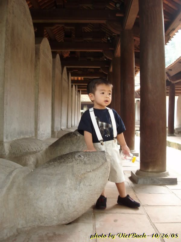 PA261568.jpg picture by nvquangcm