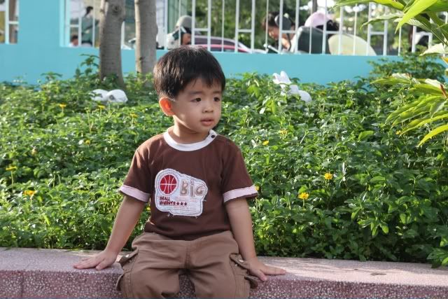 IMG_0040.jpg picture by nvquangcm