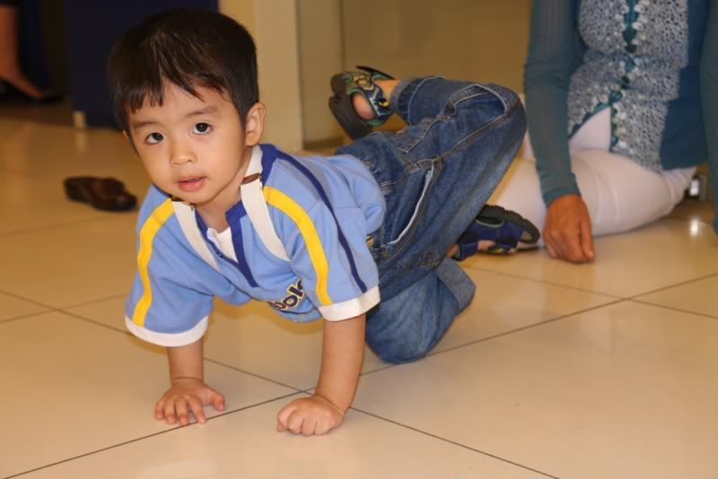 IMG_0113.jpg picture by nvquangcm