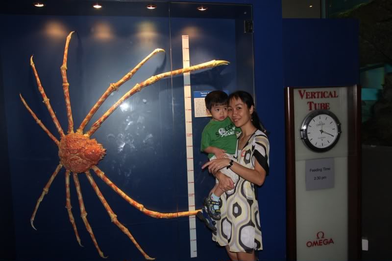 IMG_0313.jpg picture by nvquangcm