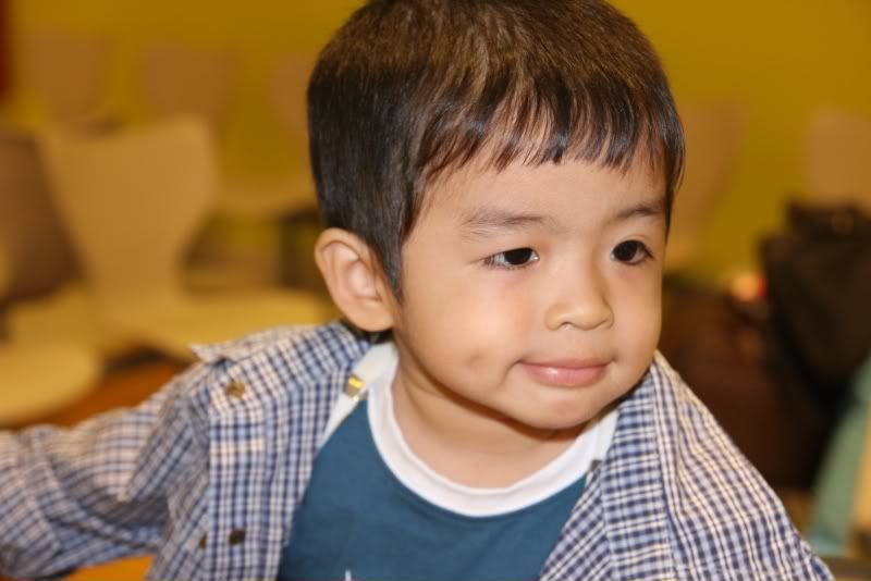 IMG_0555.jpg picture by nvquangcm