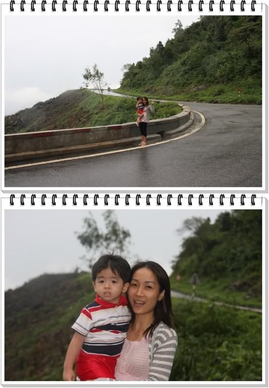 IMG_1111-vert.jpg picture by nvquangcm