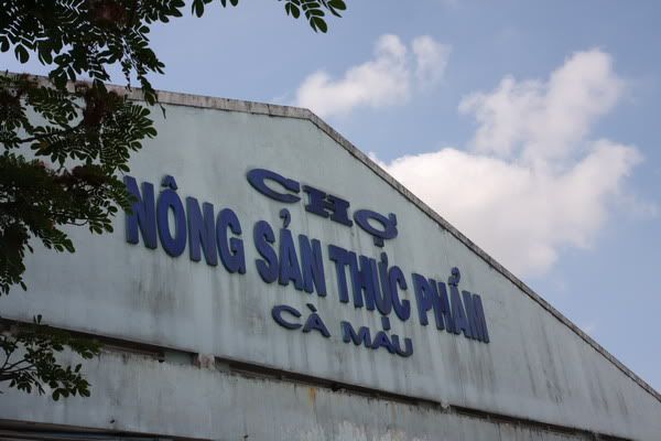 IMG_2225_resize.jpg picture by nvquangcm