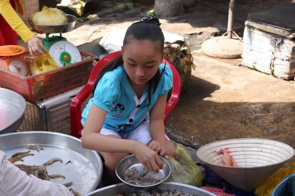 IMG_2244_resize.jpg picture by nvquangcm